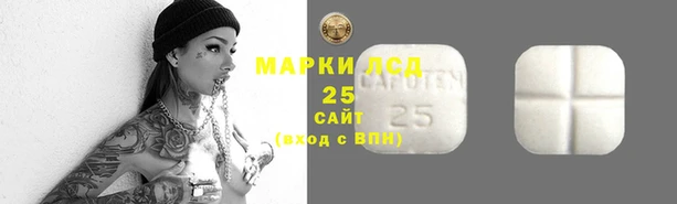 СК Балахна